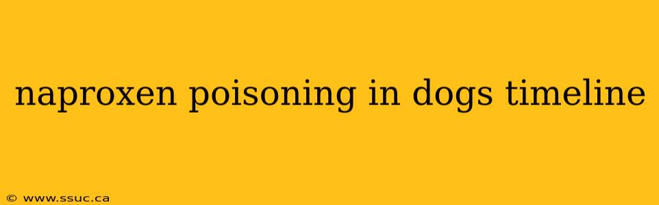 naproxen poisoning in dogs timeline