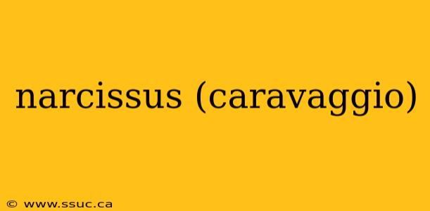 narcissus (caravaggio)