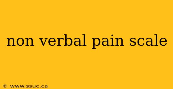 non verbal pain scale