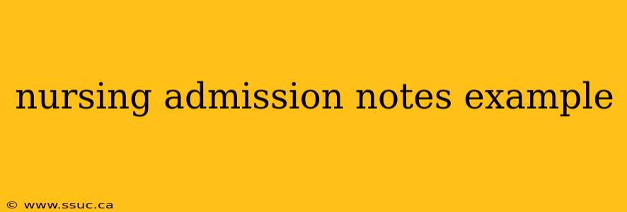 nursing admission notes example