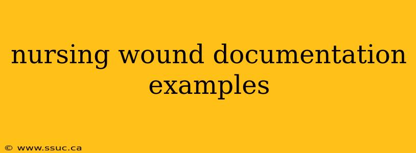 nursing wound documentation examples
