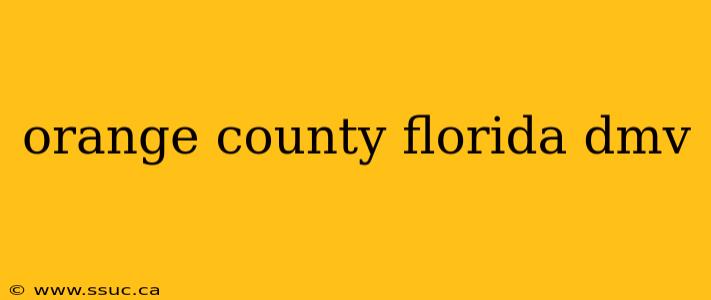 orange county florida dmv