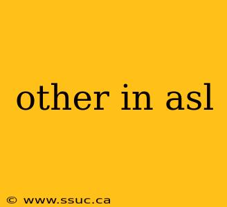 other in asl