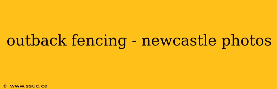 outback fencing - newcastle photos