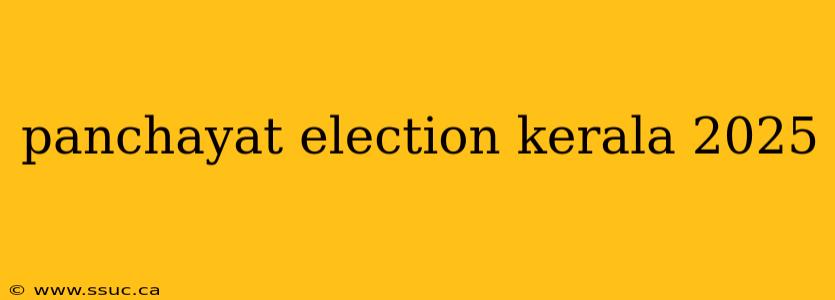 panchayat election kerala 2025