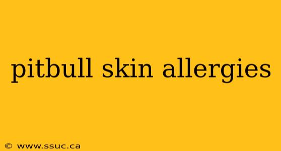 pitbull skin allergies