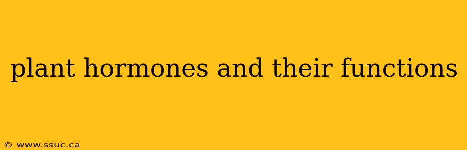 plant hormones and their functions