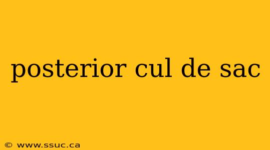 posterior cul de sac