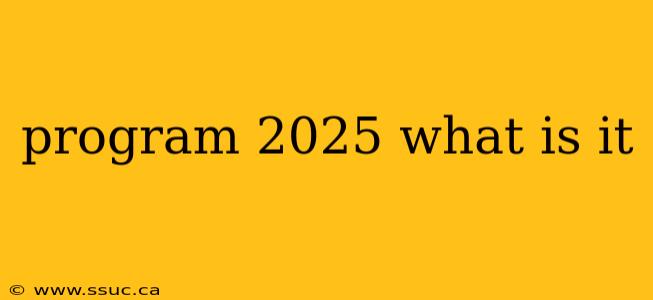 program 2025 what is it