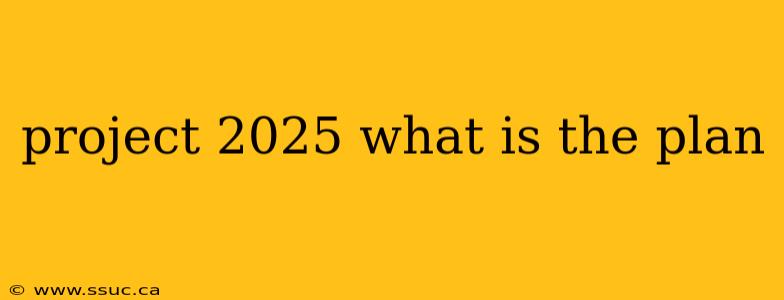 project 2025 what is the plan