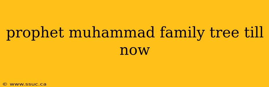 prophet muhammad family tree till now