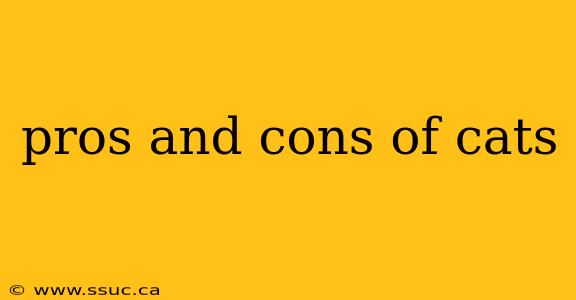 pros and cons of cats
