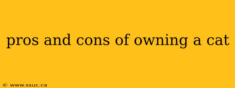 pros and cons of owning a cat