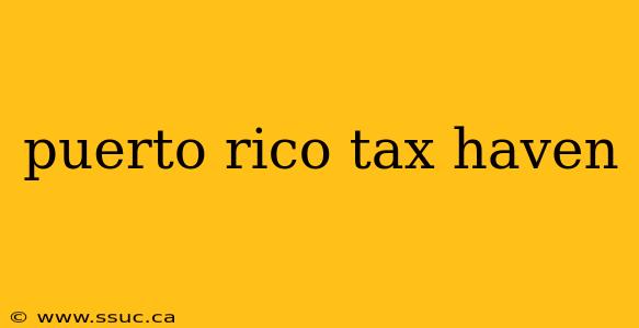 puerto rico tax haven
