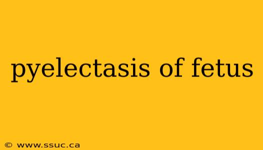 pyelectasis of fetus