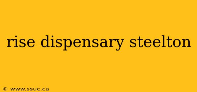 rise dispensary steelton
