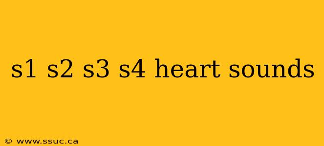 s1 s2 s3 s4 heart sounds