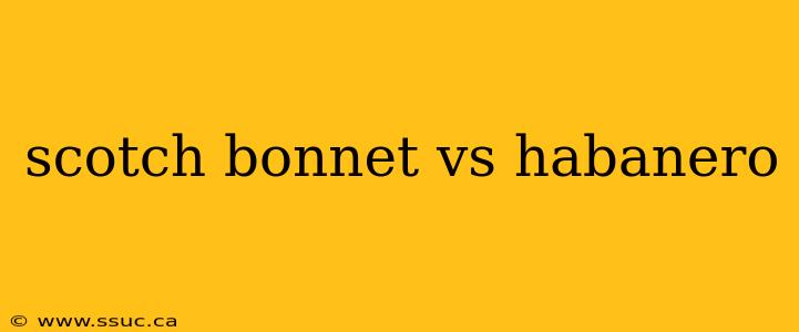 scotch bonnet vs habanero