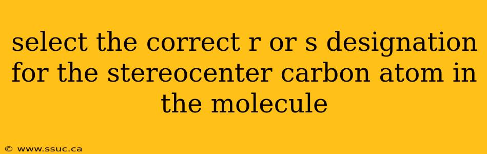 select the correct r or s designation for the stereocenter carbon atom in the molecule