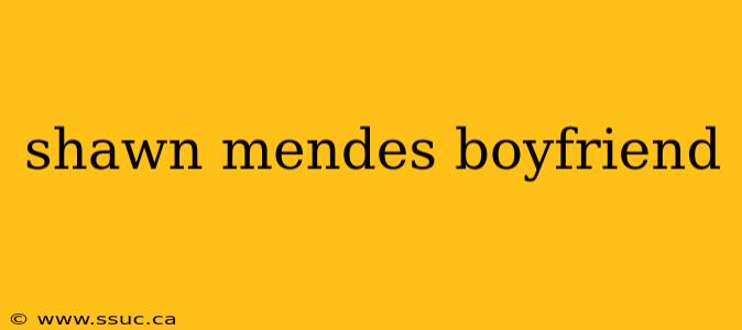 shawn mendes boyfriend