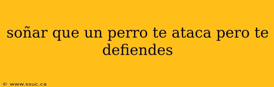 soñar que un perro te ataca pero te defiendes