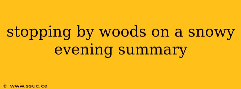 stopping by woods on a snowy evening summary