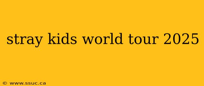 stray kids world tour 2025