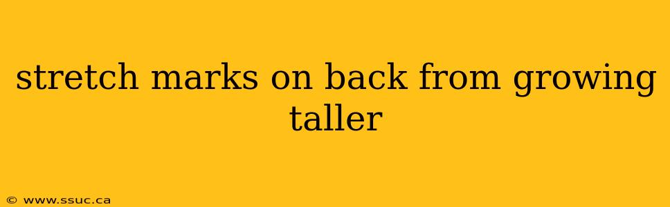 stretch marks on back from growing taller