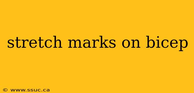 stretch marks on bicep