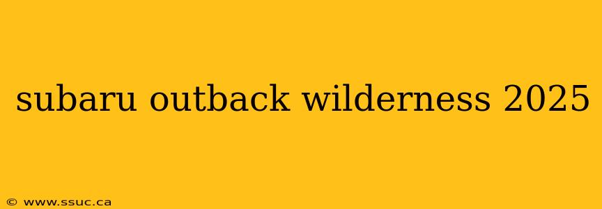 subaru outback wilderness 2025