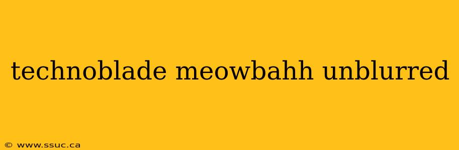 technoblade meowbahh unblurred