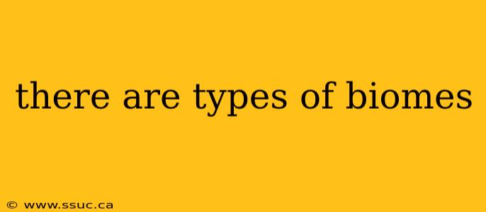 there are types of biomes