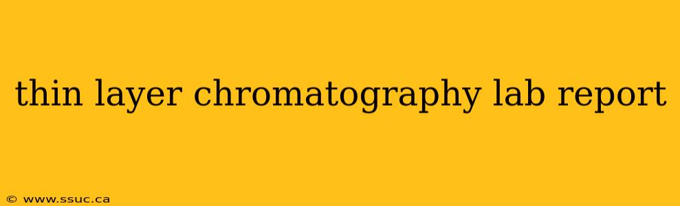 thin layer chromatography lab report