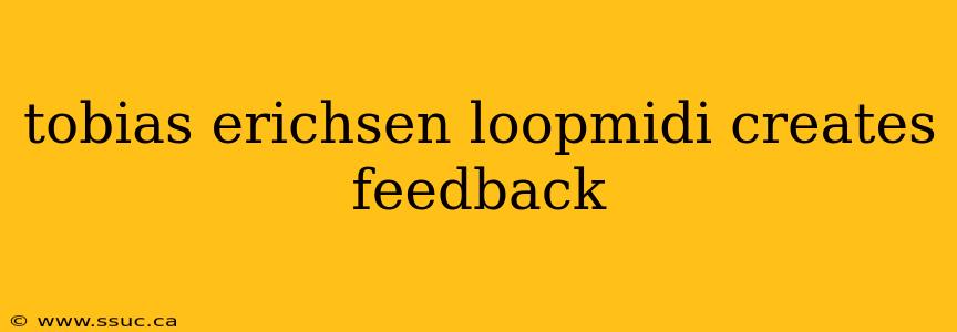tobias erichsen loopmidi creates feedback
