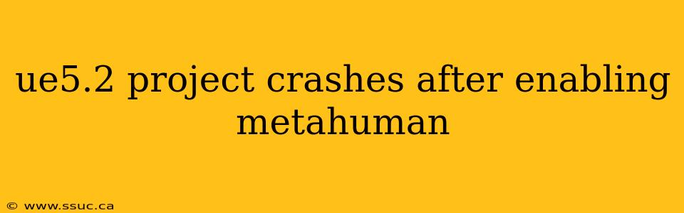 ue5.2 project crashes after enabling metahuman
