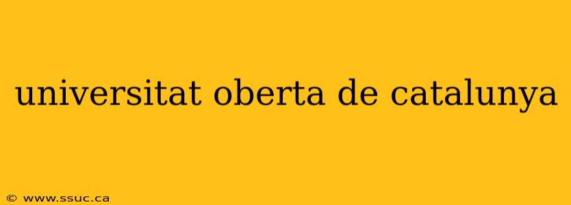 universitat oberta de catalunya