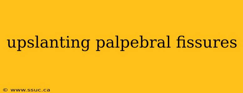 upslanting palpebral fissures