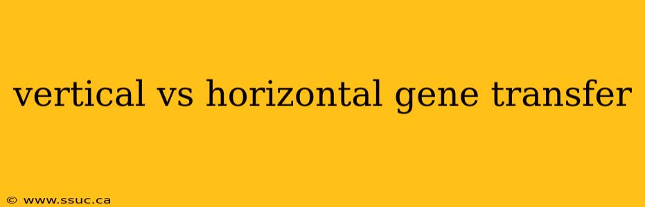 vertical vs horizontal gene transfer