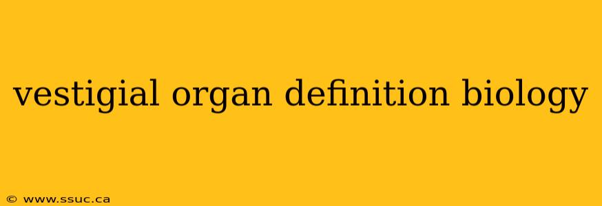 vestigial organ definition biology