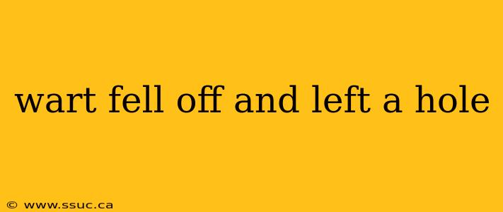 wart fell off and left a hole