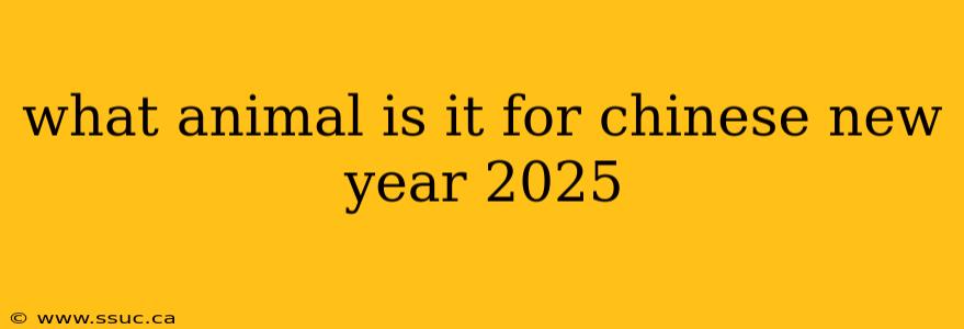 what animal is it for chinese new year 2025