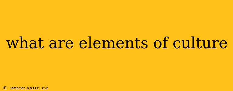 what are elements of culture