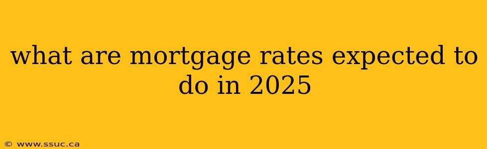 what are mortgage rates expected to do in 2025