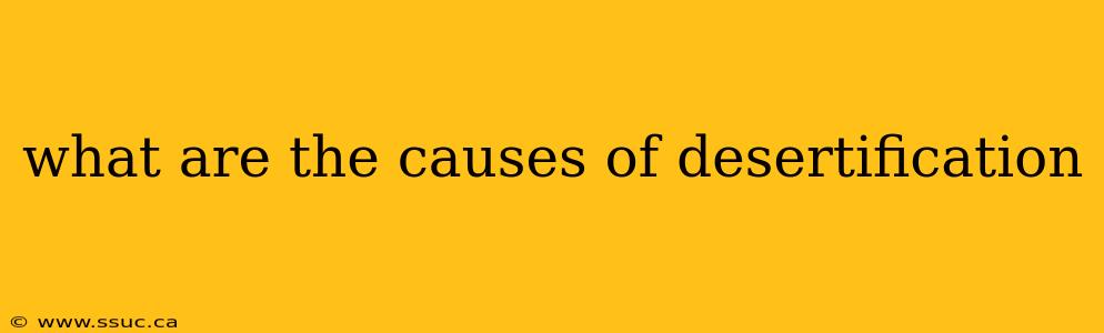 what are the causes of desertification