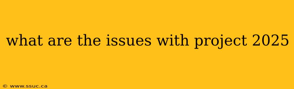 what are the issues with project 2025