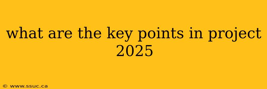 what are the key points in project 2025
