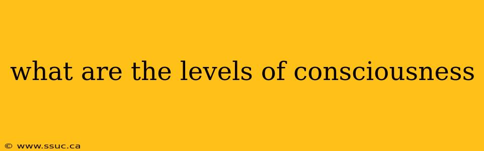 what are the levels of consciousness