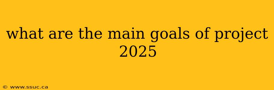 what are the main goals of project 2025