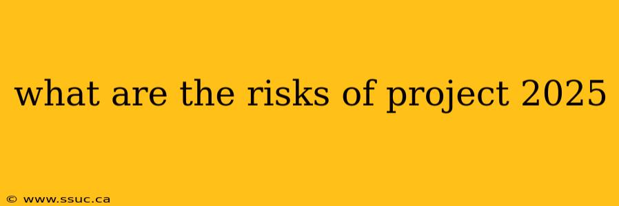 what are the risks of project 2025