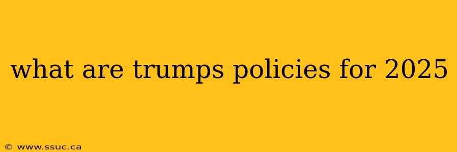what are trumps policies for 2025